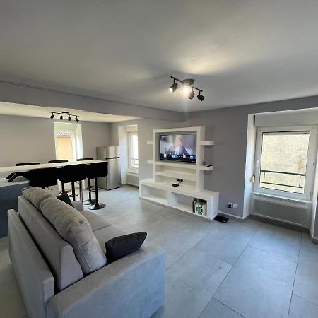 Appartement Familiale Premium : Proche Gare De 벨포르 외부 사진